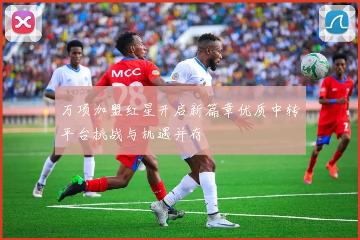 万项加盟红星开启新篇章优质中转平台挑战与机遇并存